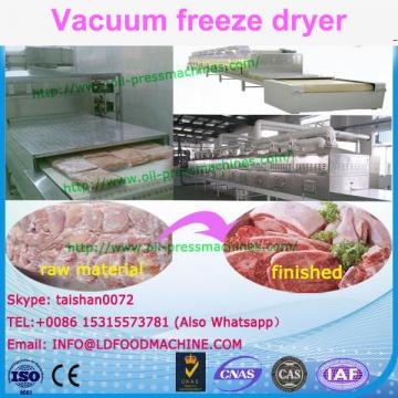 Blueberry LD Freeze Drying machinery