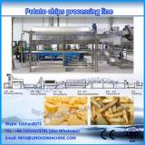 Lower cost plantine chips make and frying Production line